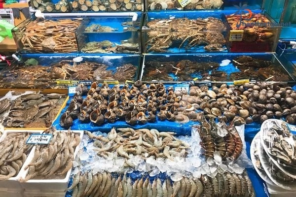 Lưu trú ở villa Sealink Mũi Né thì mua hải sản tươi sống ở đâu?