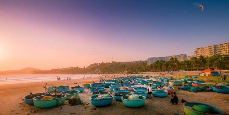 Từ TPHCM đến Sealink Mũi Né bằng những phương tiện nào?